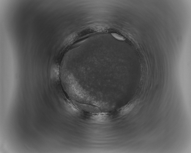 X0000116420288200912151004