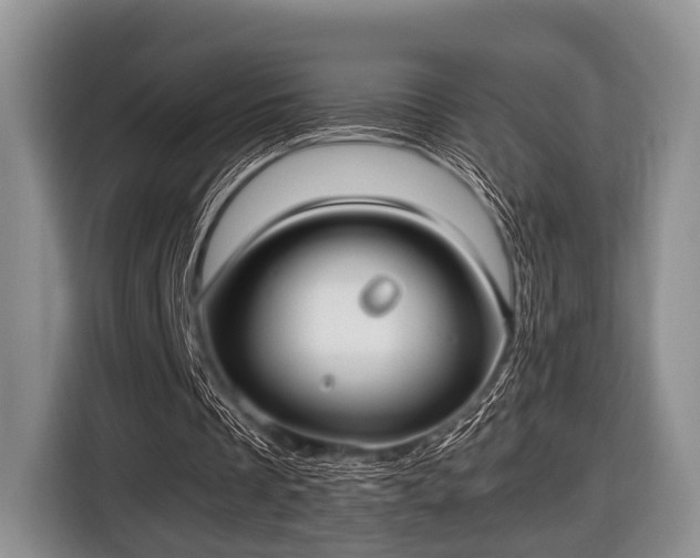 X0000116420289200912151004