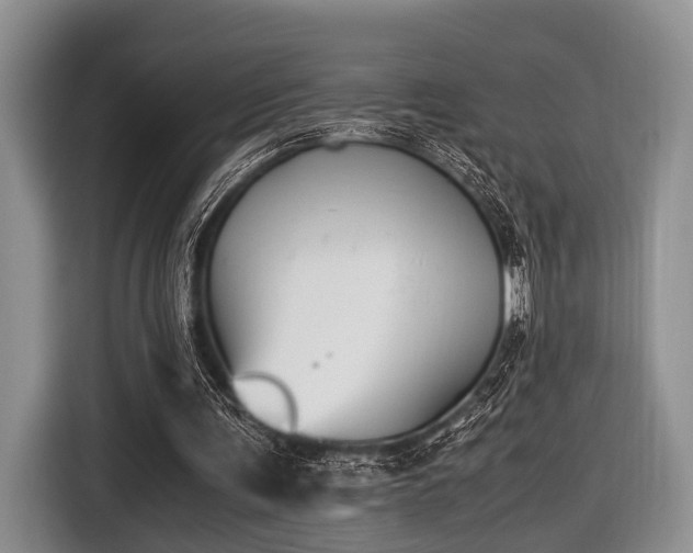 X0000116420291200912151004