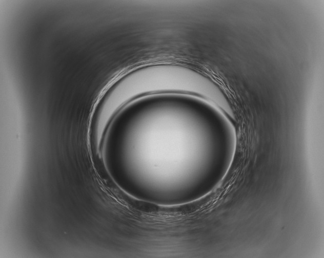 X0000116420292200912151004