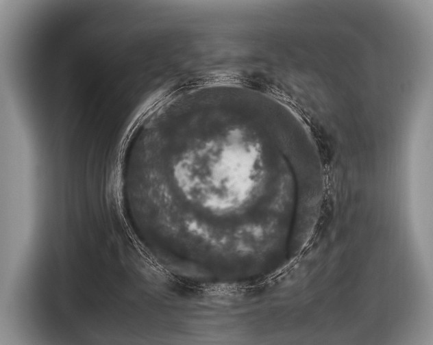 X0000116420293200912151004