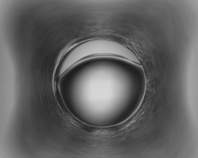 X0000116420294200912151004