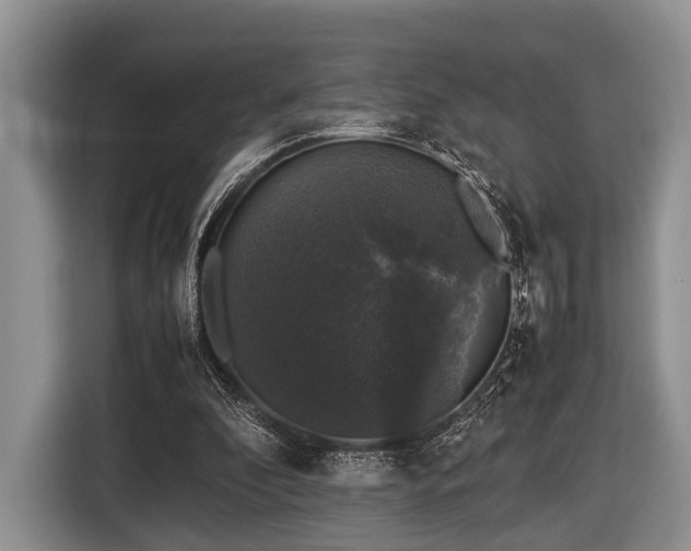 X0000116420296200912151004