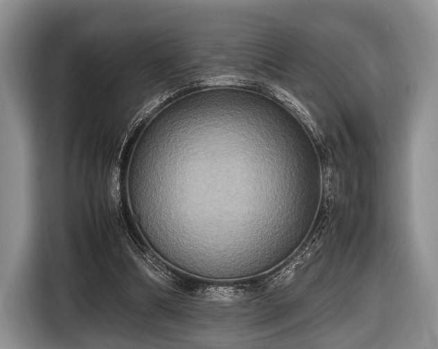 X0000116420298200912151003