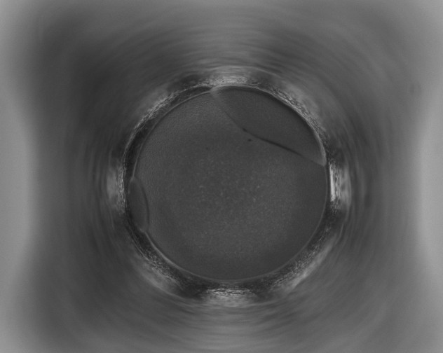 X0000116420300200912151003
