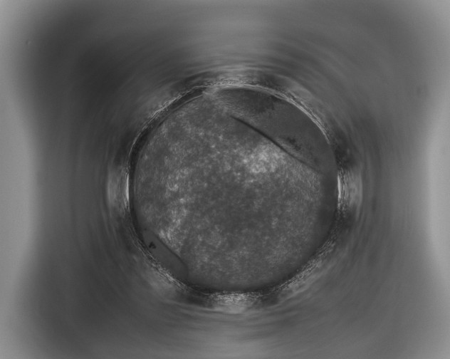 X0000116420301200912151003