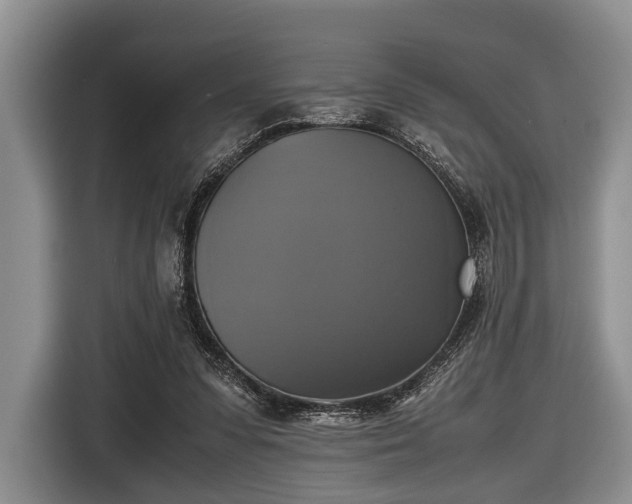 X0000116420303200912151003