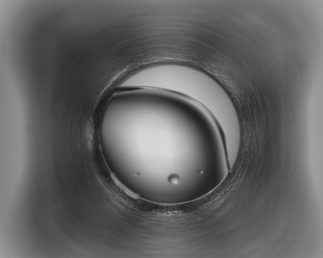 X0000116420304200912151003