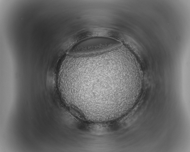 X0000116420305200912151003