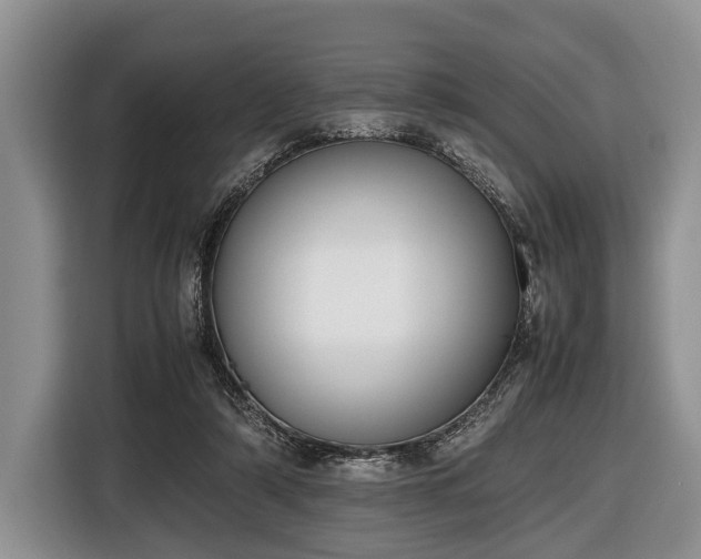 X0000116420306200912151003