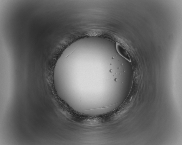 X0000116420307200912151003