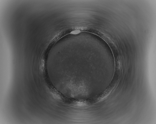 X0000116420308200912151003