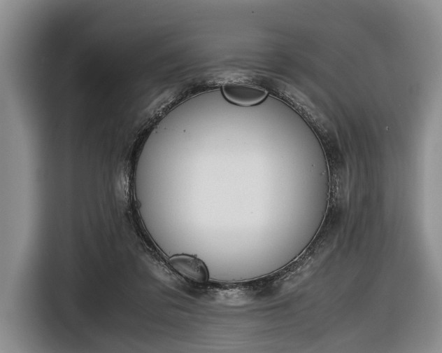 X0000116420309200912151003