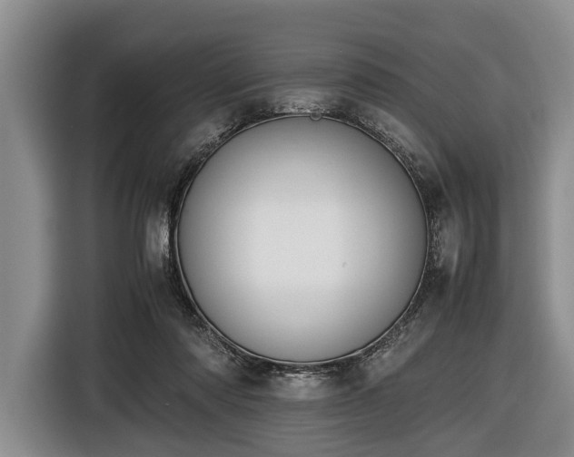 X0000116420310200912151003