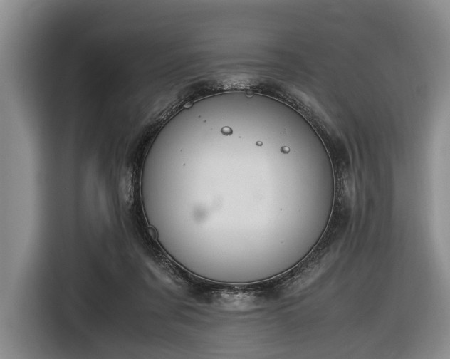 X0000116420311200912151003