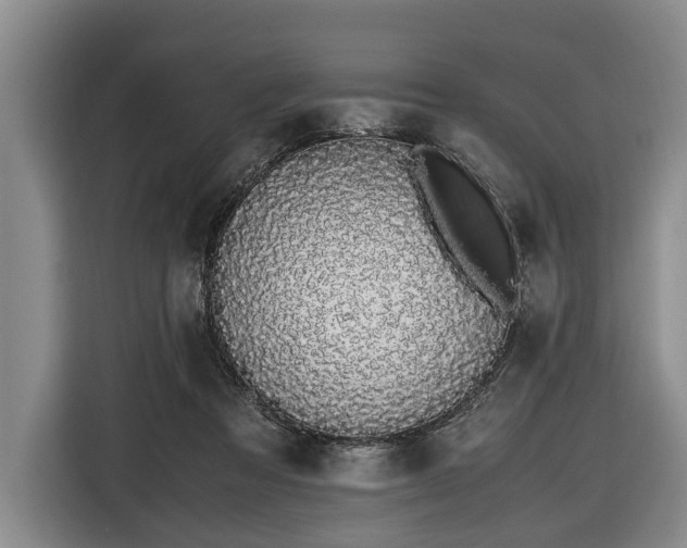 X0000116420313200912151003