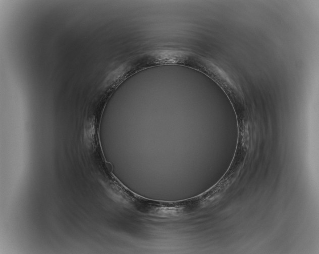X0000116420314200912151003