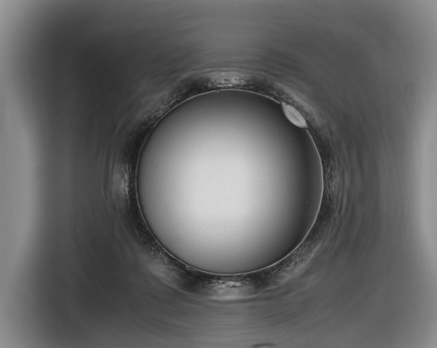 X0000116420315200912151003