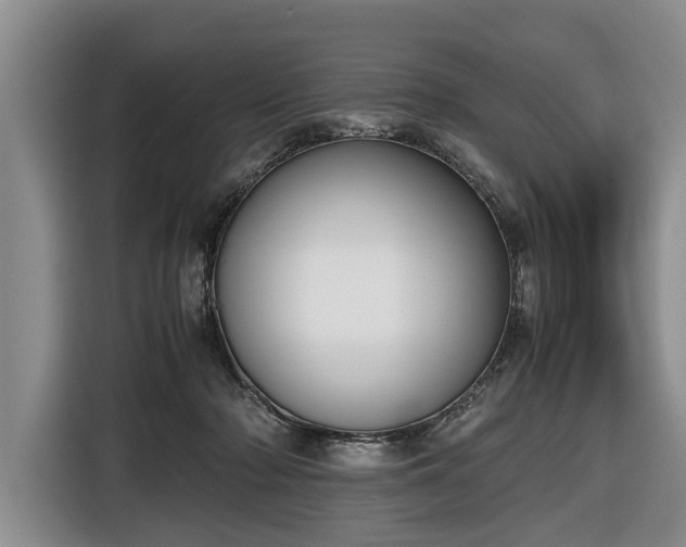 X0000116420318200912151003