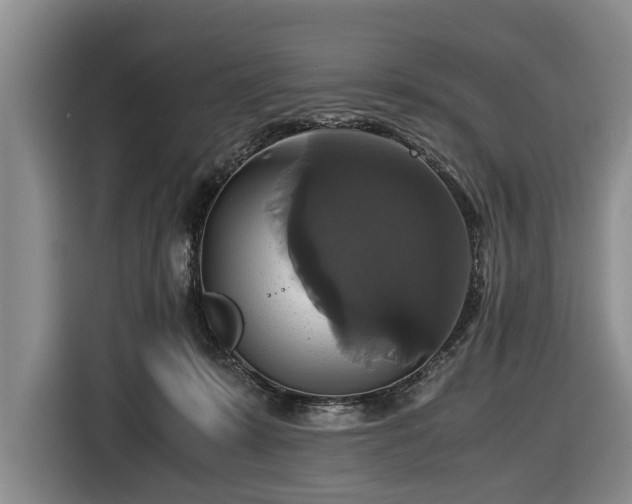 X0000116420319200912151003
