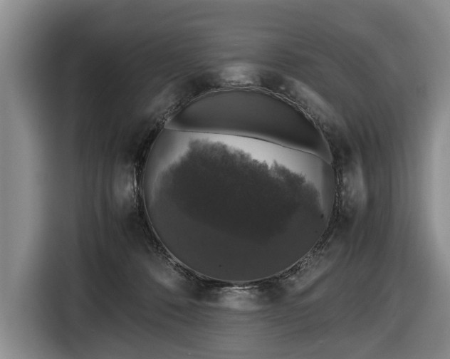 X0000116420320200912151003