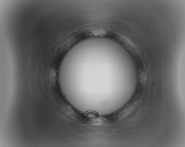 X0000116420321200912151003