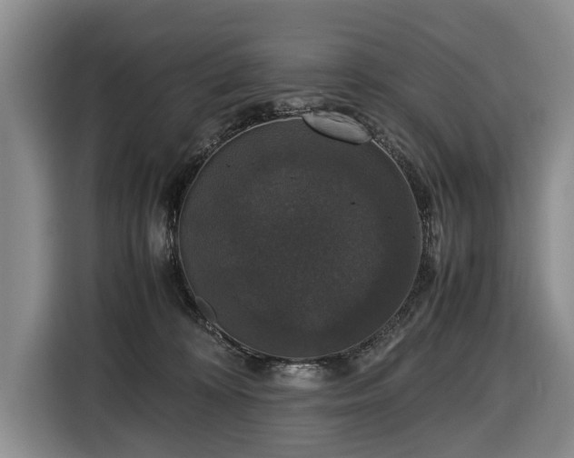 X0000116420324200912151003
