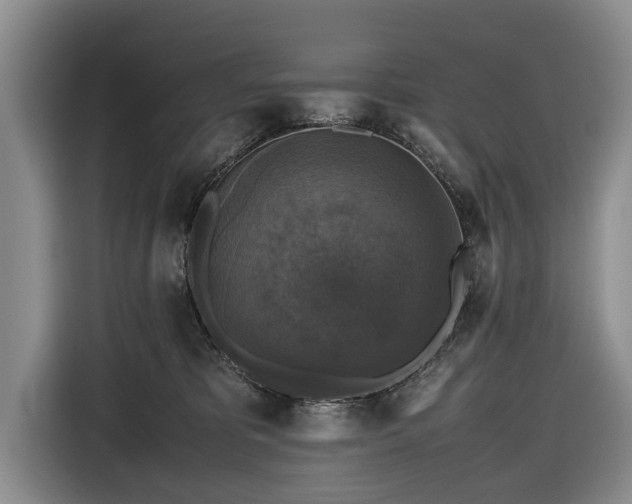 X0000116420325200912151003