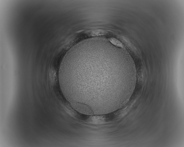 X0000116420327200912151003