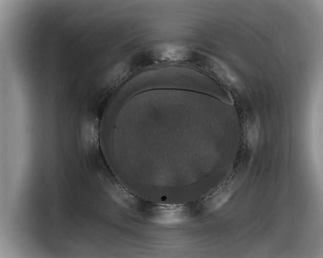 X0000116420328200912151003