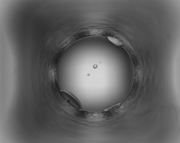 X0000116420329200912151003