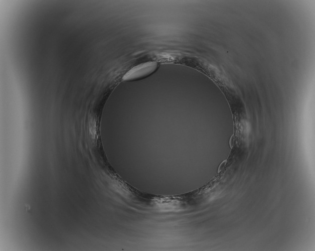 X0000116420331200912151003