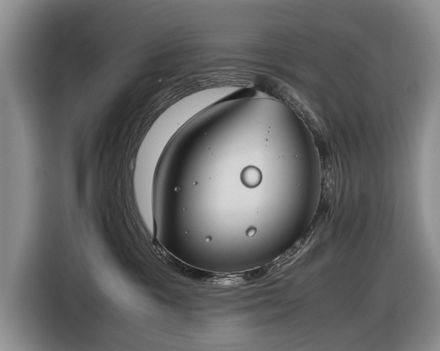 X0000116420333200912151003