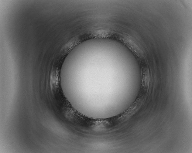 X0000116420334200912151003