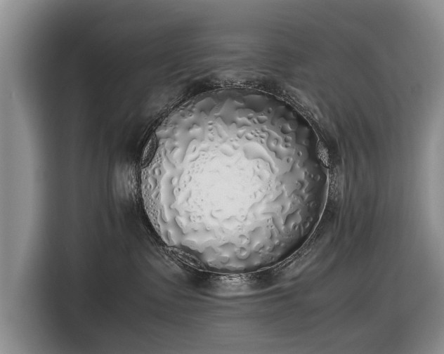 X0000116420335200912151003