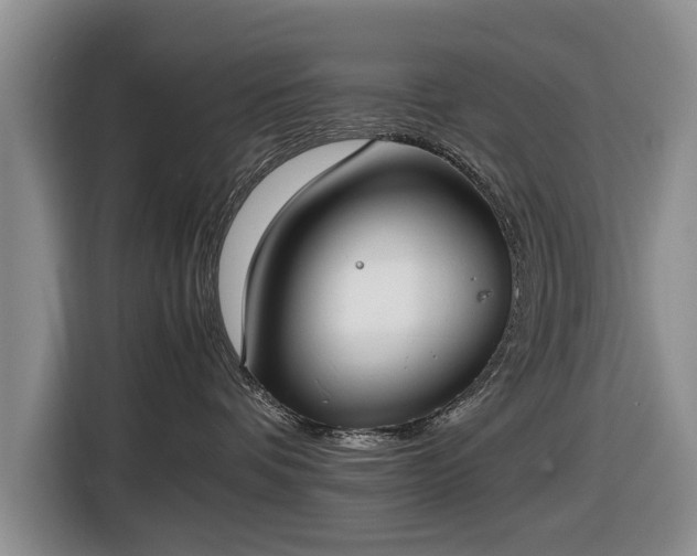 X0000116420336200912151003