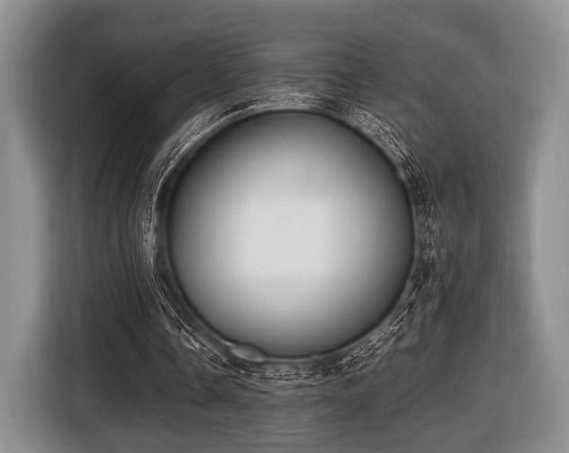 X0000116420338200912151002