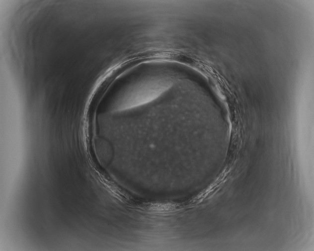 X0000116420342200912151002