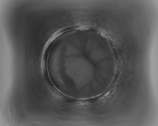 X0000116420343200912151002
