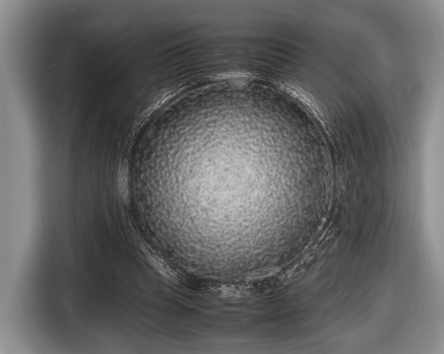 X0000116420345200912151002