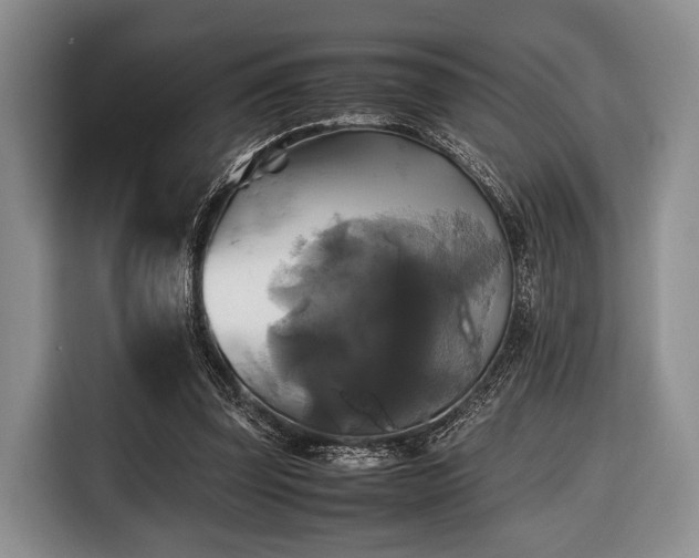 X0000116420347200912151003
