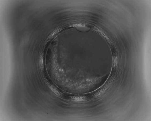 X0000116420349200912151003