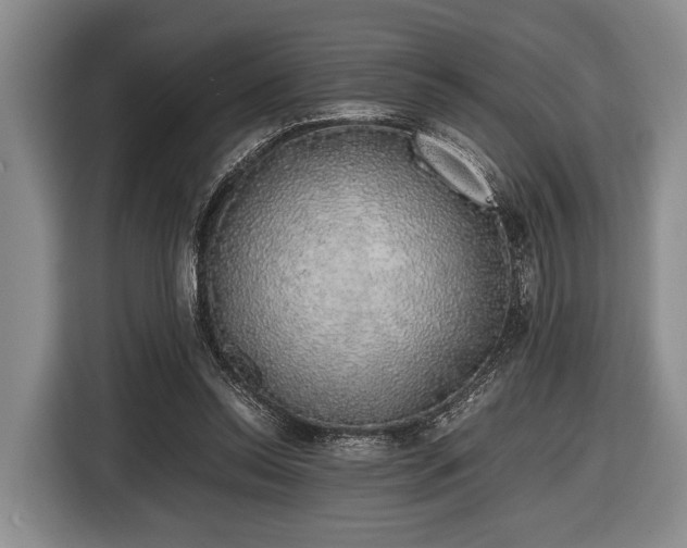 X0000116420350200912151003