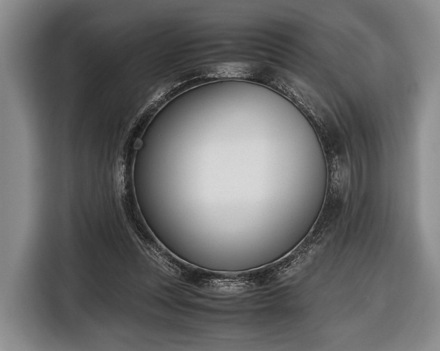 X0000116420351200912151003