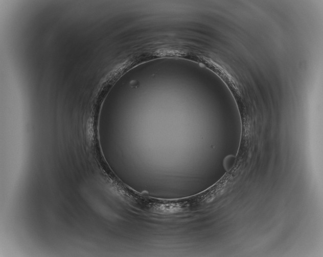 X0000116420353200912151003