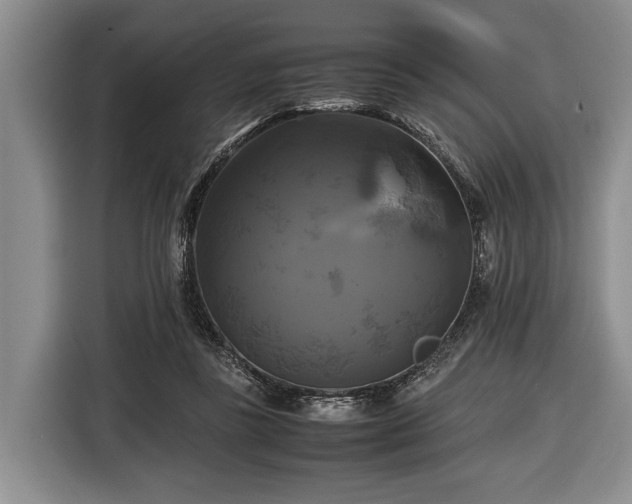 X0000116420355200912151003