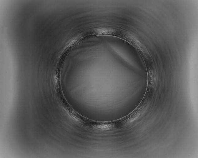 X0000116420357200912151003