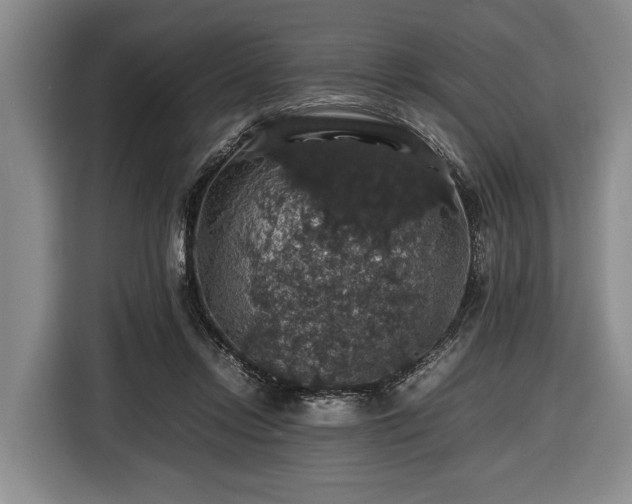 X0000116420358200912151003