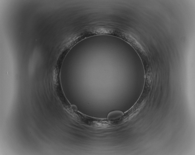X0000116420359200912151003