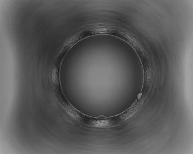 X0000116420361200912151003